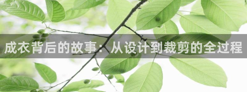摩登精品7