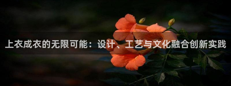 摩登7官网的详细介绍
