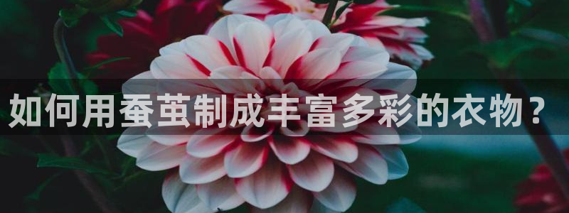 摩登7招商议333OO