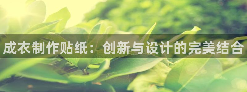 摩登7代理382223