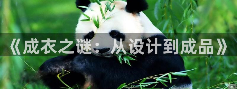 摩登7天7O667