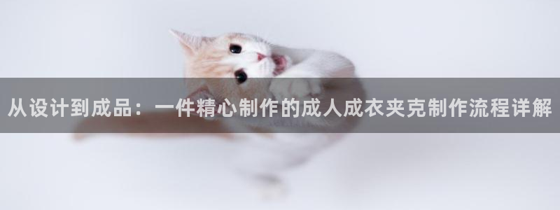 摩登7官网在哪下载