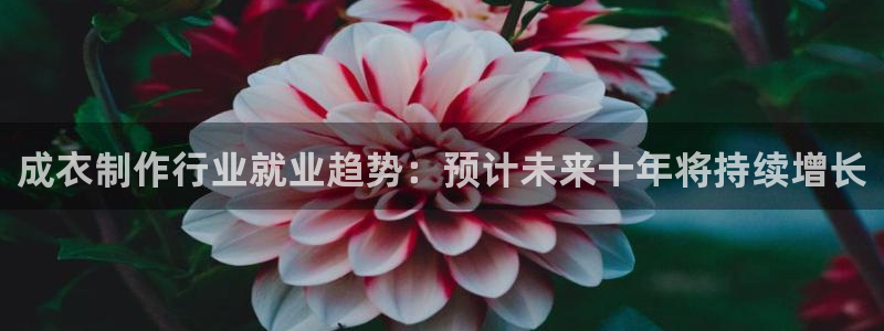 摩登7平台app
