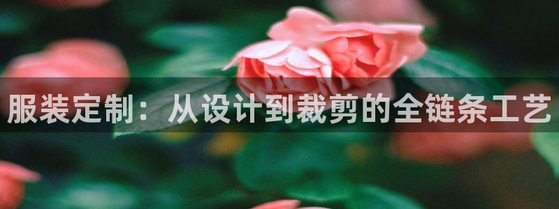 摩登7是什么