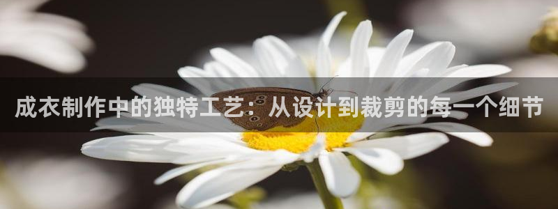 摩登7是什么