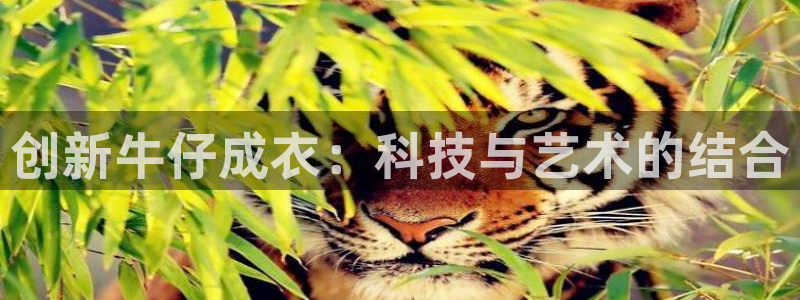 摩登7上7O667