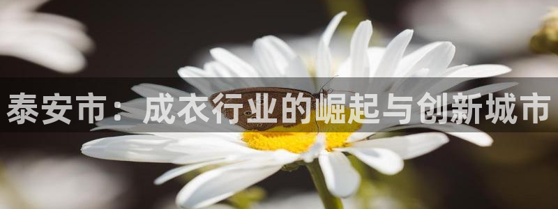 摩登4下7O667