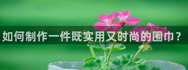 摩登3天7O667