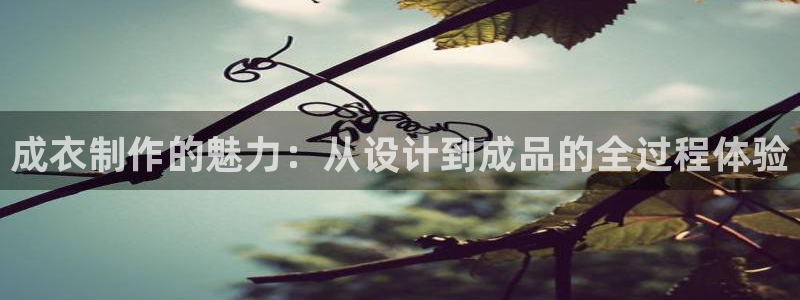 摩登7娱乐怎么样