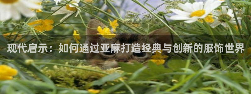 摩登6跟摩登7的区别