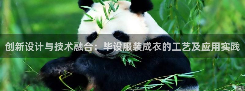 摩登7左
