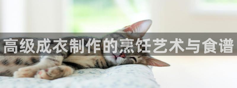 摩登7 1 1