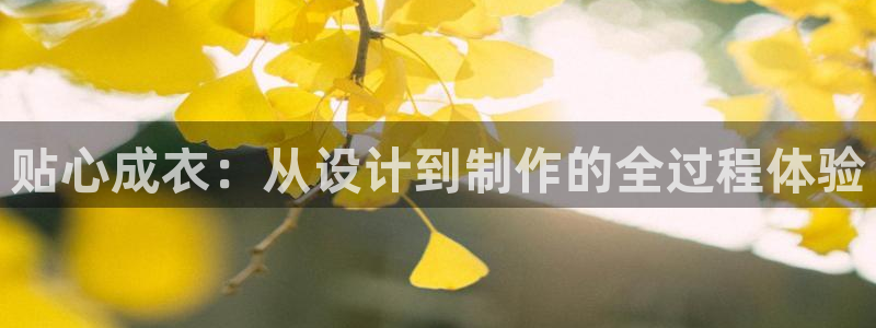 摩登5许7O667