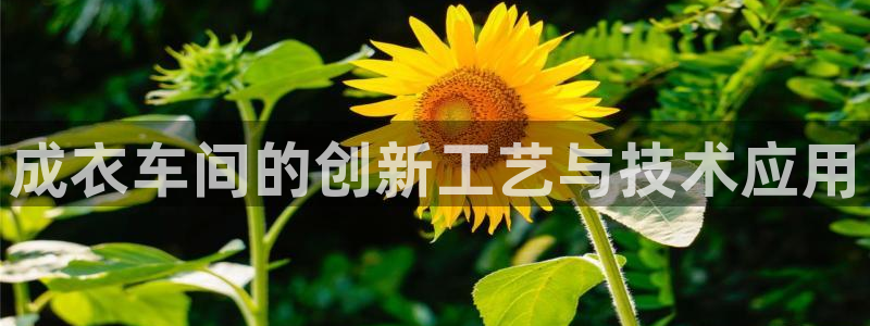 摩登 7