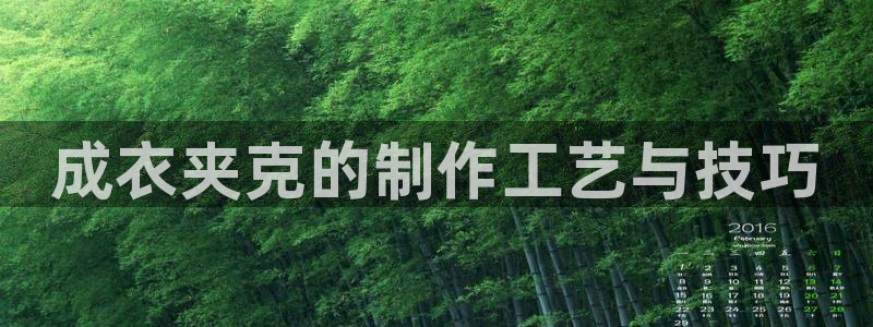 摩登7招商讨333OO